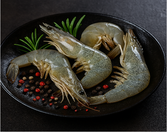 Frozen Shrimp, Tuna, Octopus, etc.